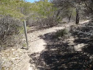 Post marker on track