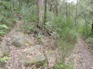 Florabella Track