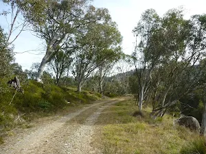 Walking along Dargals Trail
