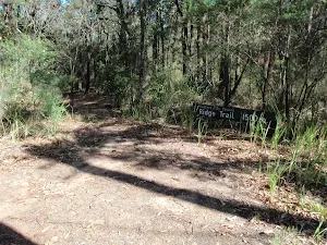 Ridge Trail track head