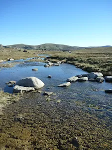 Upper Snowy River