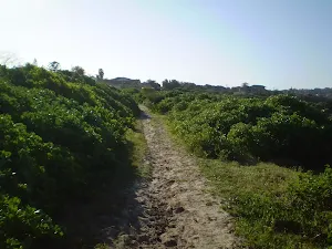 Sandy track near Maroubra Bay 