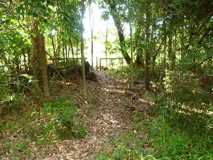 Track through to Pacific Hwy while walking the Galgabba Point walk