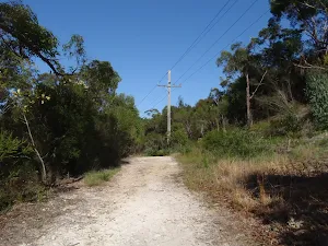 Currie Rd Management Trail