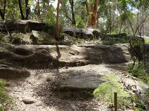 The rocky track on Lane Cove Valley