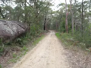 Toomeys Rd Trail