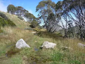Guthega Rd management trail
