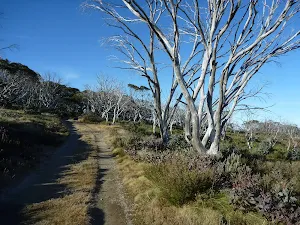 Crossing the valley south of Bobs Ridge