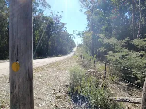 Cherry lane