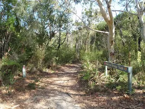 The Natural Bridge Track
