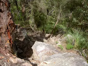 Track up to the ridge top