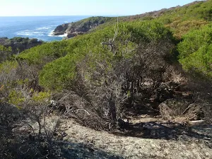 View from Kianiny lookout