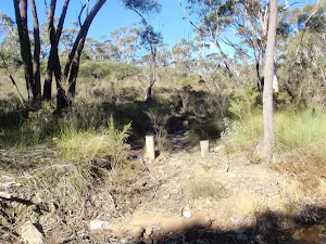 northern Castle Head track