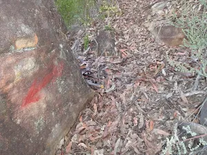 Arrow showing the way down to Glenbrook Ck