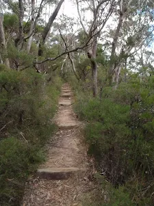 Track up to Gladstone Rd