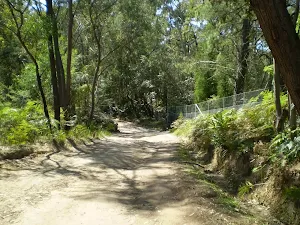Cullamine Rd near Terrey Hills