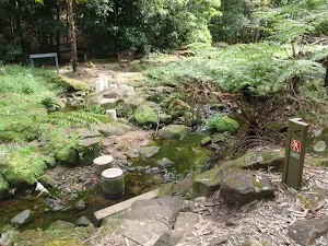 crossing the upper Lane Cove River
