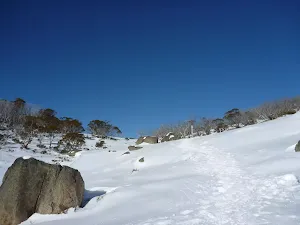 Scattering of granite boulders