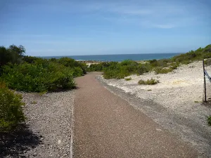 Sealed track towards Spoon Rocks in Caves Beach