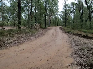 Nepean Lookout fire trail