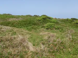 Bournda Island heath