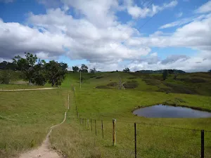 Six Foot Track walking through open farmland west of Megalong Rd