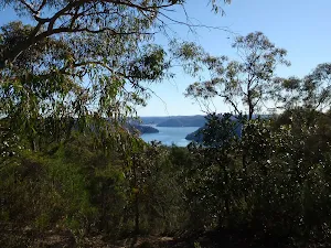Cowan Waters from the Wallaroo track