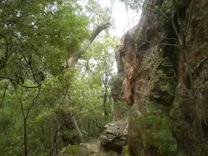 Conservation Hut to Breakfast Point Lookout