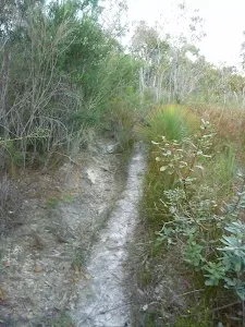 Fredericks Track