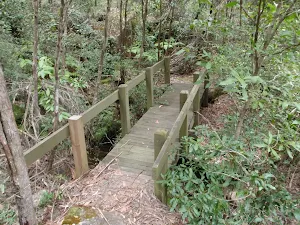 Florabella Track bridge