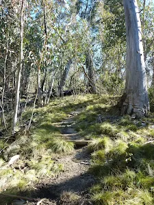 Track winding up the side of the gully