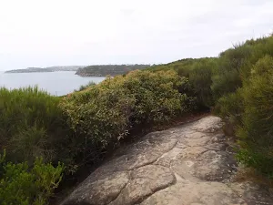 View from Grotto Point Track