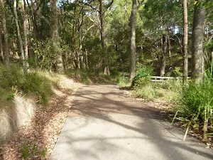 Sealed footpath in Green Point Reserve