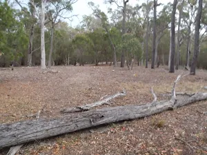 Bottom of Field Study Huts