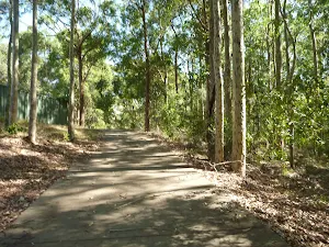 Fire trail in Green Point Reserve