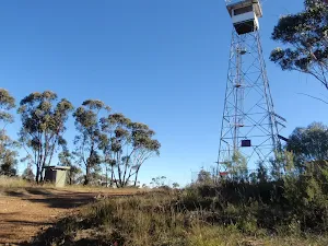 Bushwalkers Hill Fire Tower
