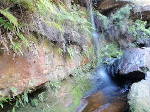 Jeannie's Pool