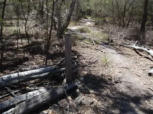 Old farm fence post