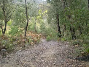 Going down the Deep Pass Servicetrail