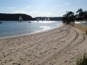 Manly to Seaforth Oval