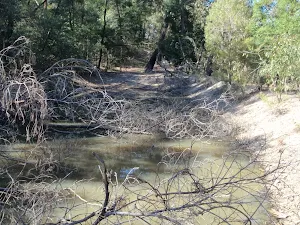 A dam beside the WCT