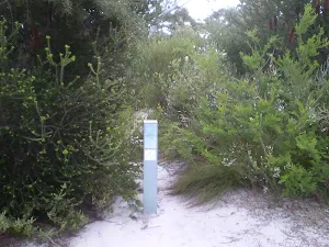 The end of the Wallumarra Servicetrail