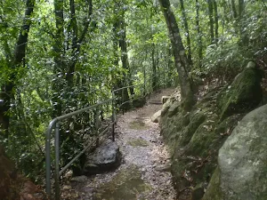 Echo Point to Scenic World via Giant Stairway