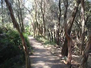 Padstow to the Salt Pan Creek Picnic Area