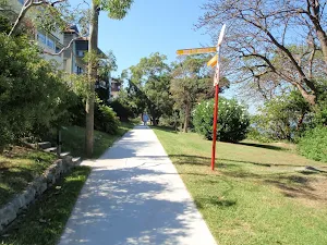 Well signposted paths through Cremorne Reserve