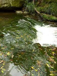 Cascade on Waitara Creek