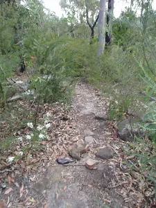 Track to Lost Worlds Lookout
