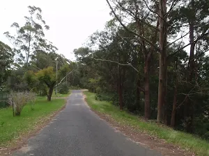 Taylors Rd