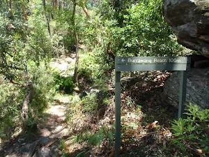 The intersection of the track heading down to Burrawang Flats
