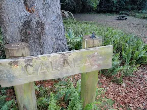 Calala